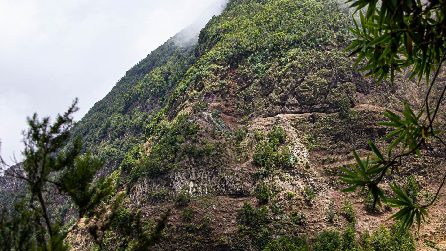 Blick auf die gegenüberliegende Bergflanke vom Wanderweg