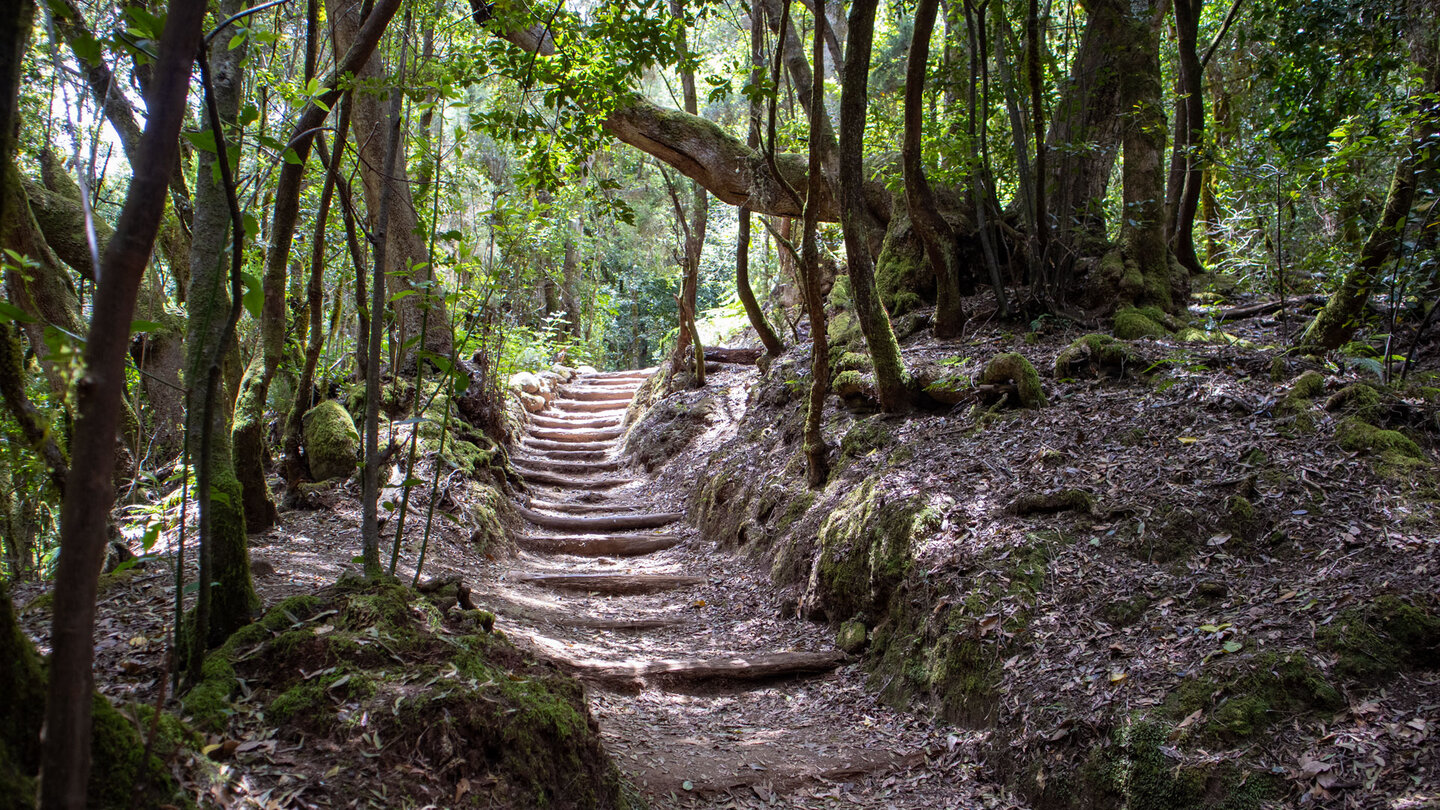 Wanderweg über Holzstufen durch die Cedro-Schlucht