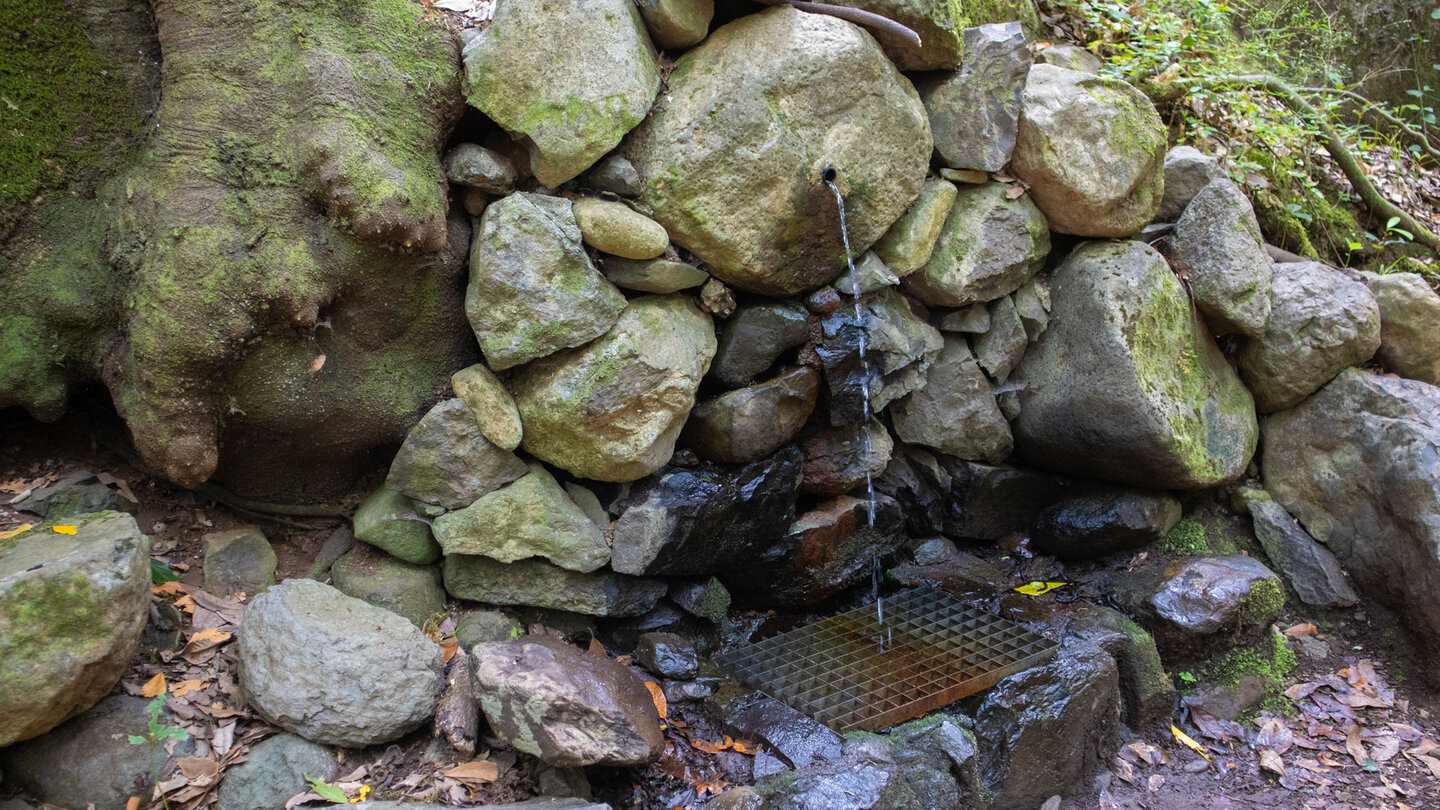 Brunnen bei Las Mimbreras