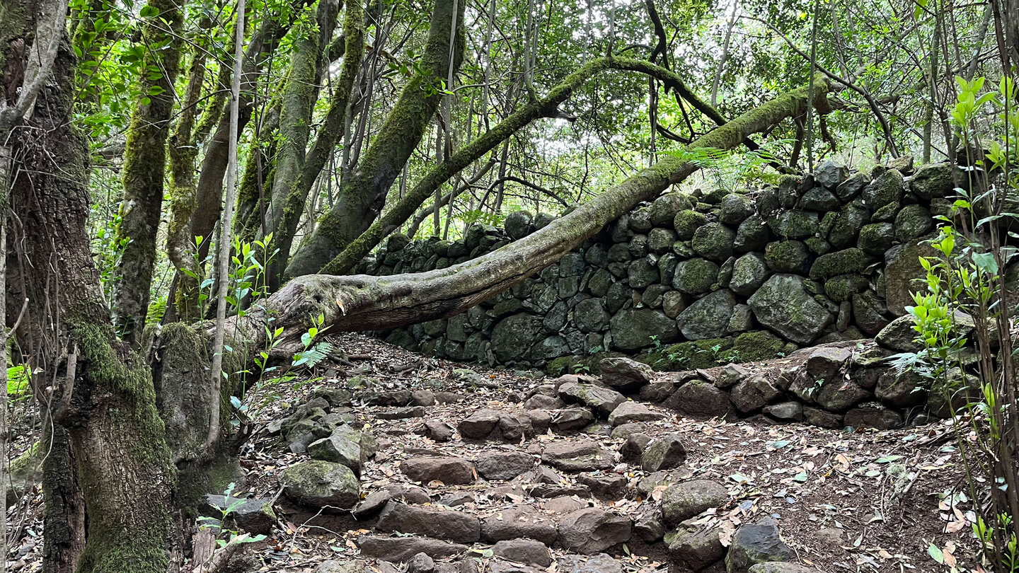 Steinmauer am Wanderweg Ruta 18