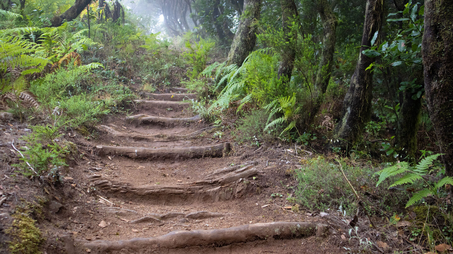 Wanderpfad zwischen dem Cruce de Pajarito und dem Mirador de Tajaque