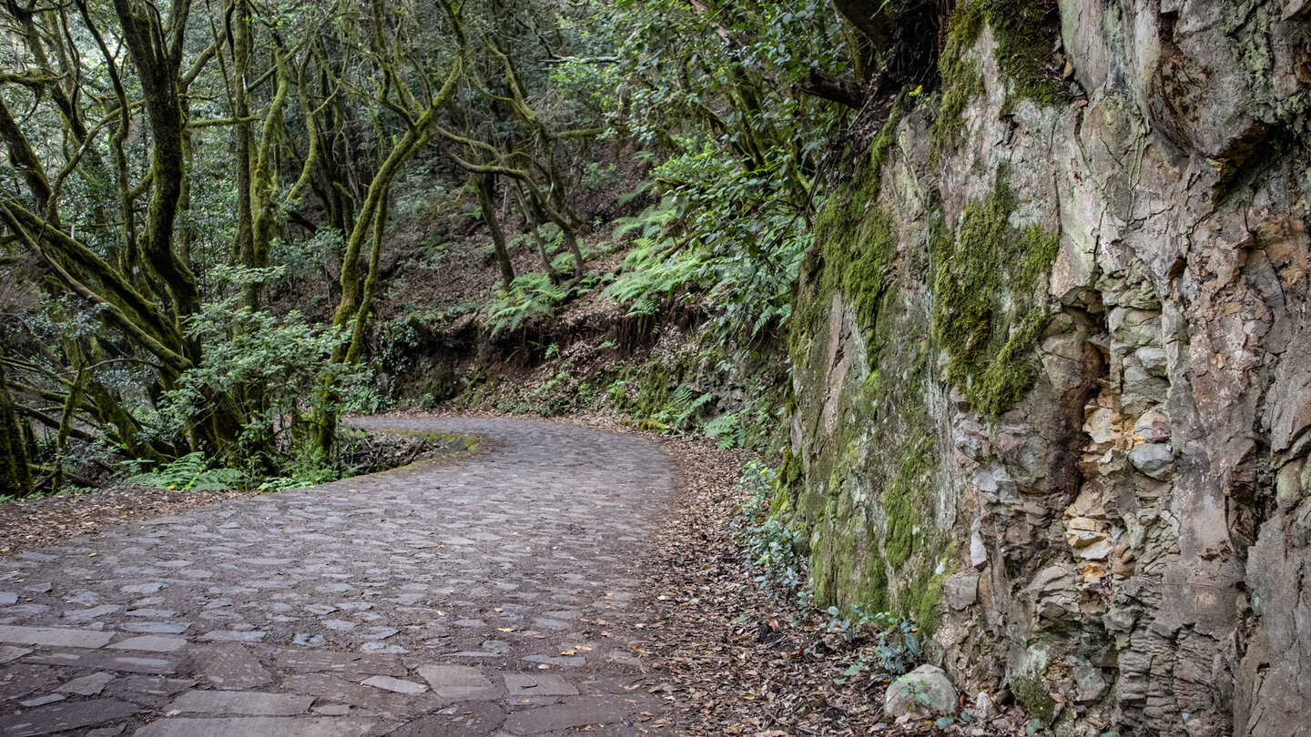 der gepflasterte Weg Reventón Oscuro führt in Barranco del Cedro