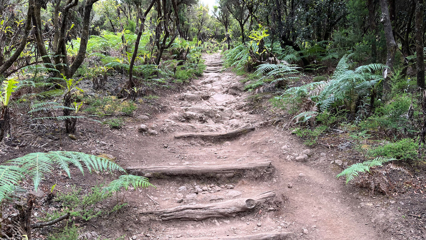 Wanderweg nahe El Contadero