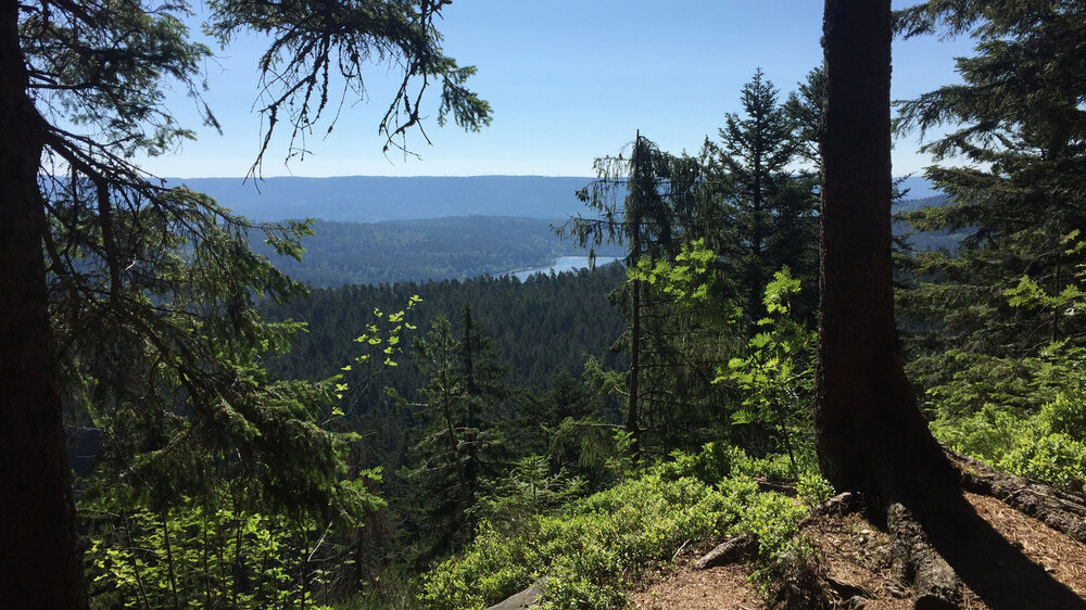 Die Schwarzenbach-Talsperre bei Forbach im Schwarzwald