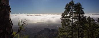 Blick von den Cumbres de Arico zur Küste