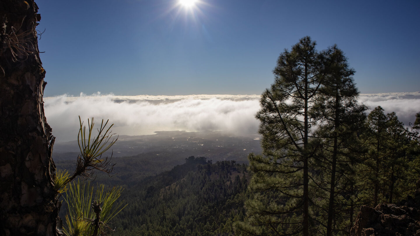 Blick von den Cumbres de Arico zur Küste