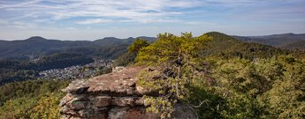 Panorama vom Römerfelsen