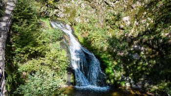 der Lierbach an den Allerheiligen-WasserfällenBlick vom Wanderweg