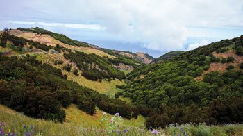 liebliche anmutende Landschaft im Naturschutzgebiet Paisaje Protegido de Ventejís auf El Hierro