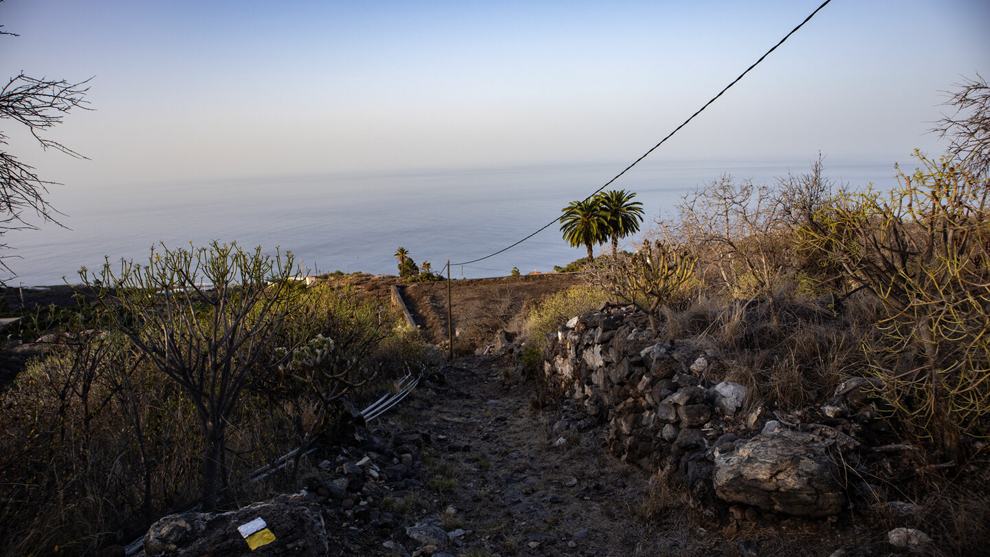 Wanderweg von El Jesús zum Barranco del Jurado