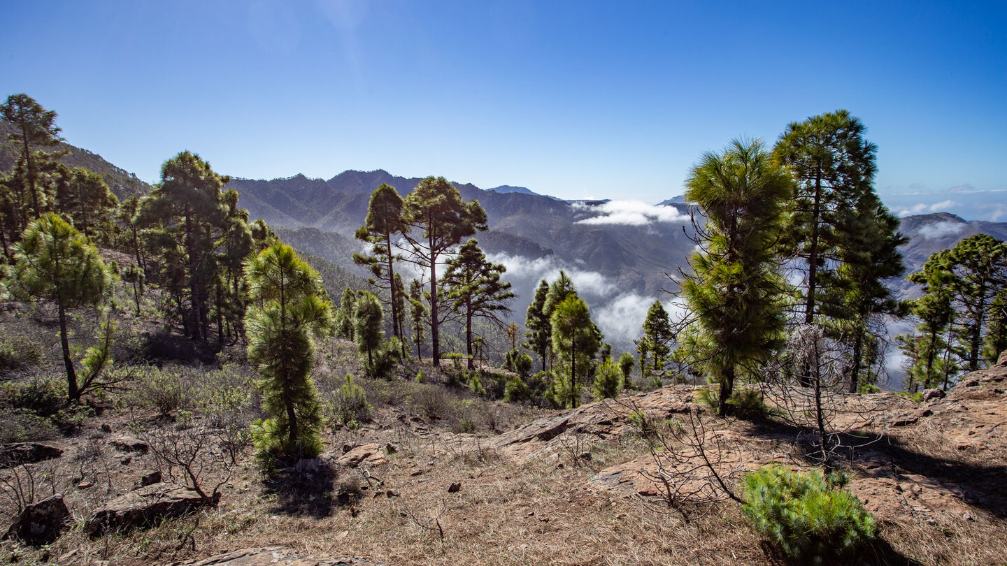 wunderbare Gebirgslandschaft im Naturpark Tamadaba