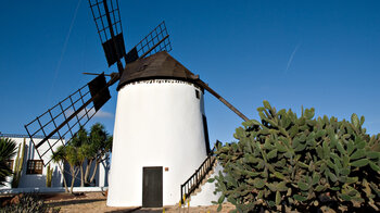 die Windmühle im Museum Molino de Antigua auf Fuerteventura