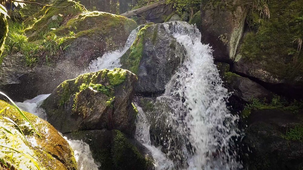 Auf dem Kapellenweg entlang am Gertelbach