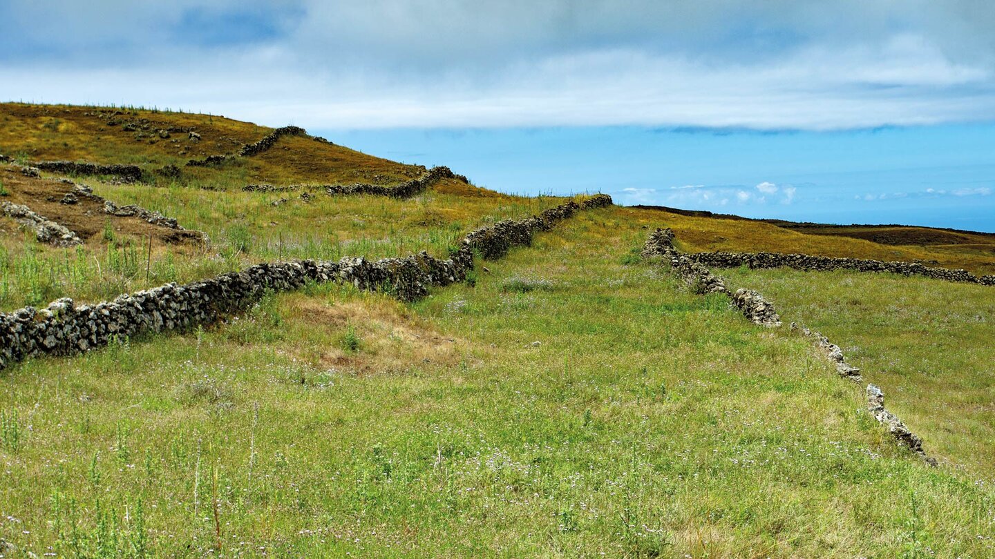 die genutzten Flächen der Meseta de Nisdafe sind zumeist in gemauerten Parzellen aufgeteilt