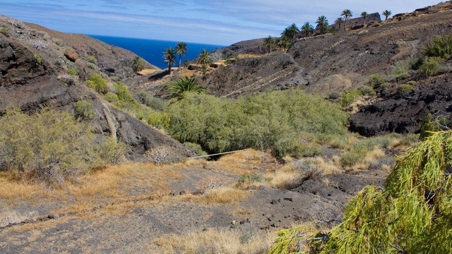 schwer erkennbarer Pfad hinab in ein Barranco zur Playa del Trigo auf Gomera