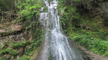 kristallklares Wasser bahnt sich seinen Weg am Sankenbachwasserfall