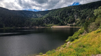 das schwarze Gewässer des Lac Noir in den Vogesen