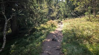 Wanderpfad zur Quelle des Lac Noir