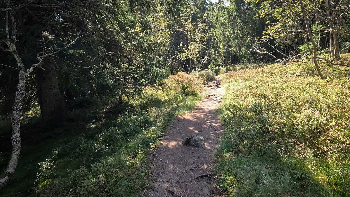 Wanderpfad zur Quelle des Lac Noir