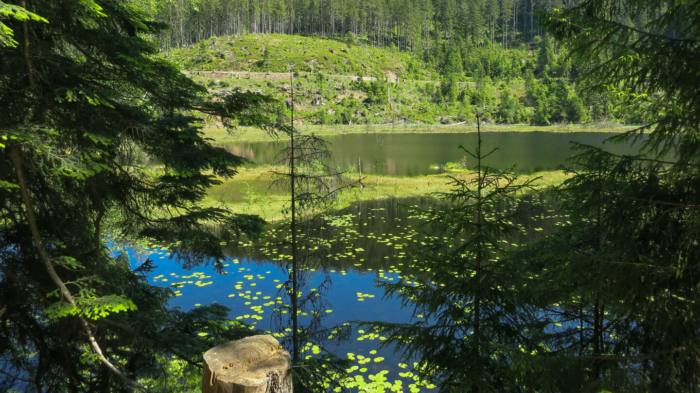 Wanderung am Ufer des Huzenbacher Sees