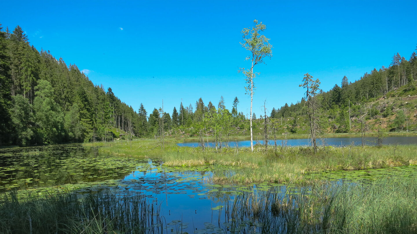 Blick über den Huzenbacher See auf der Romantiktour