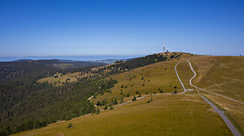 Blick entlang des Franz-Klarmeyer-Weg zum Gipfel des Felsbergs