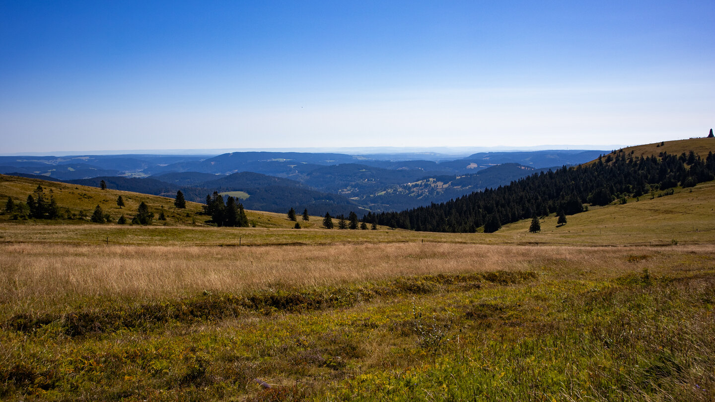 Ausblick über den Grübelesattel am Feldberg