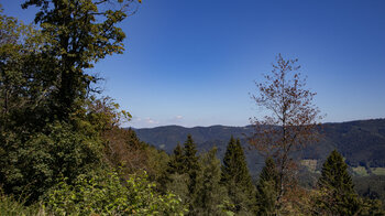 Ausblick vom Büchereck