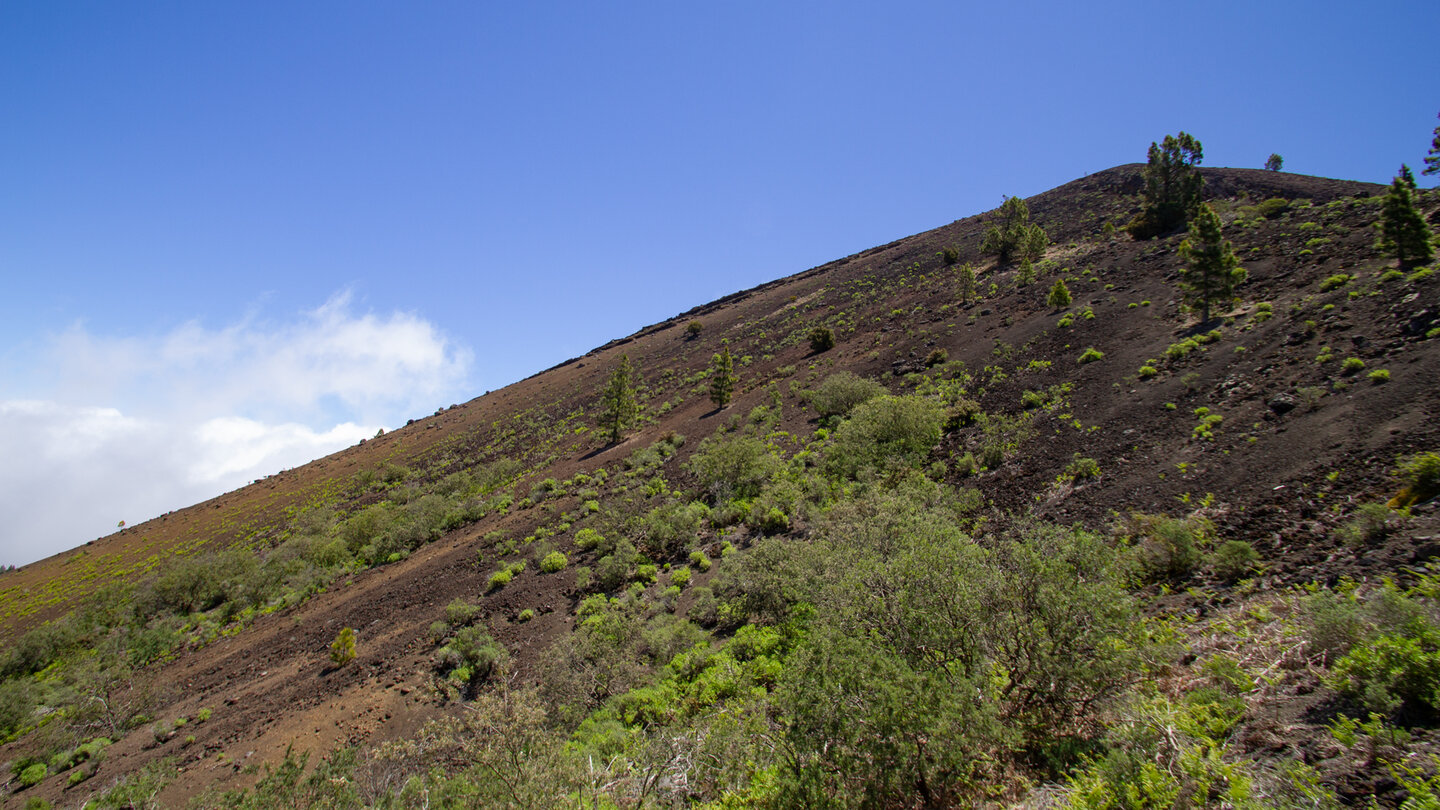 Flanke des Birigoyo beim Aufstieg