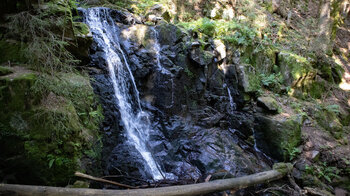 Windbergwasserfall am Windbergpfad