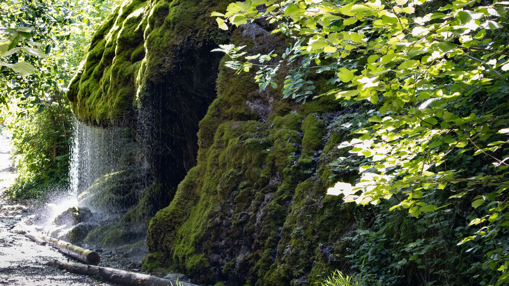 Dietfurter Wasserfall in der Wutachschlucht