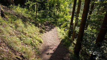 Wanderweg zur Mittleren Ravennaschlucht