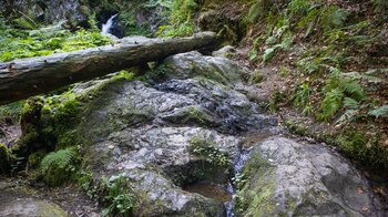 Felsformationen am Wanderweg durch die Ravennaschlucht