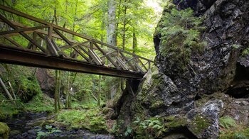 Holzbrücke über die untere Ravennaschlucht