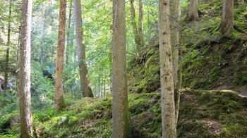 malerischer Wanderpfad bei der Oberen Ravenna