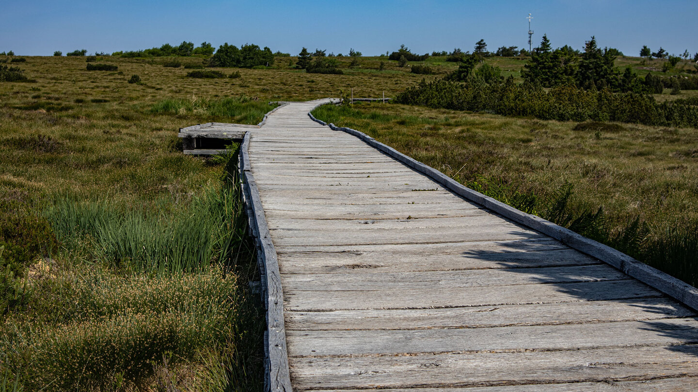 Holzsteg im Hochmoor der Hornisgrinde