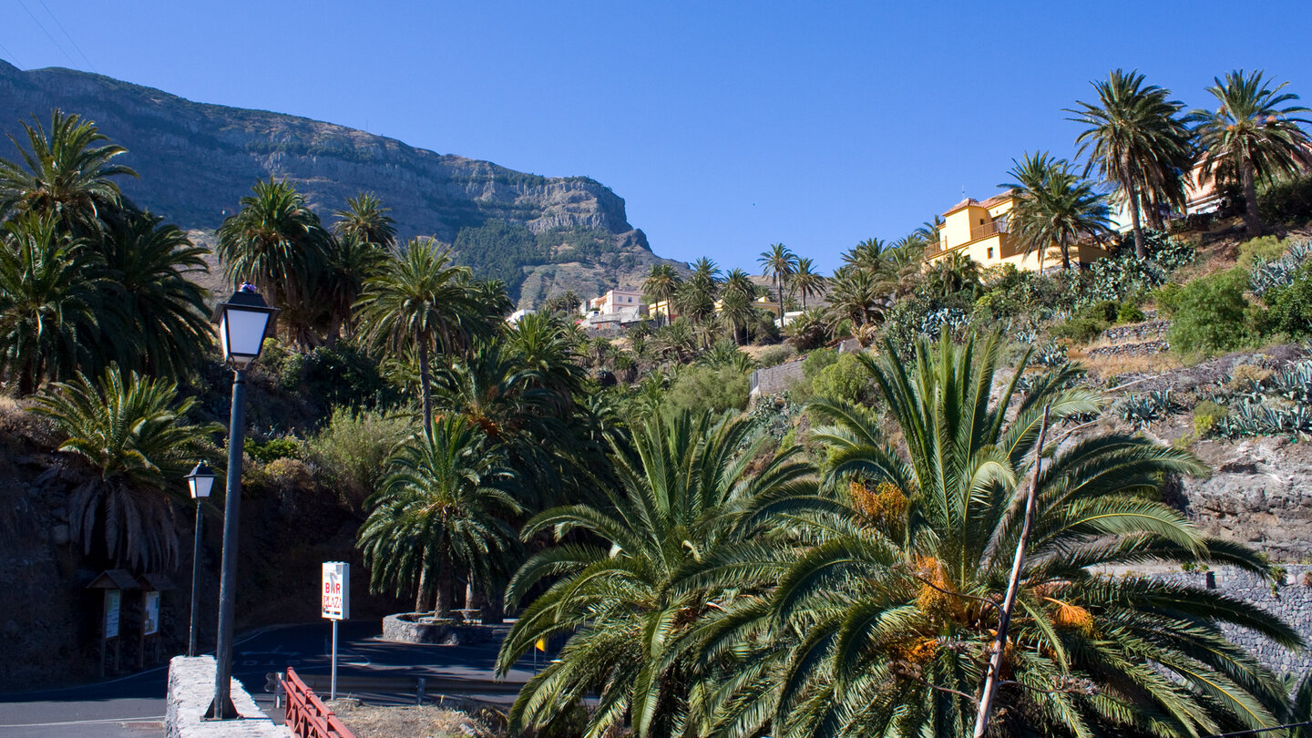 palmengesäumte Gasse mit dem Lomo del Carretón im Hintergrund in Alojera auf La Gomera