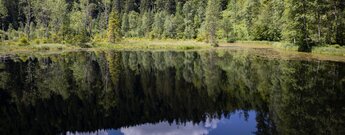 Aussicht über Ellbachsee