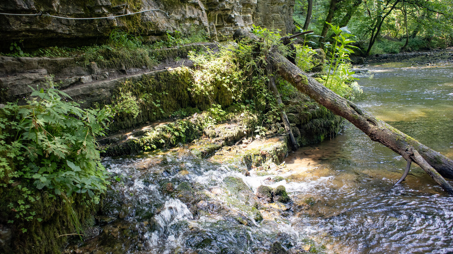 hervor strömendes Wasser am Austritt der Wutach