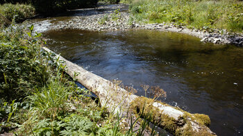 Bachlauf der Wutach