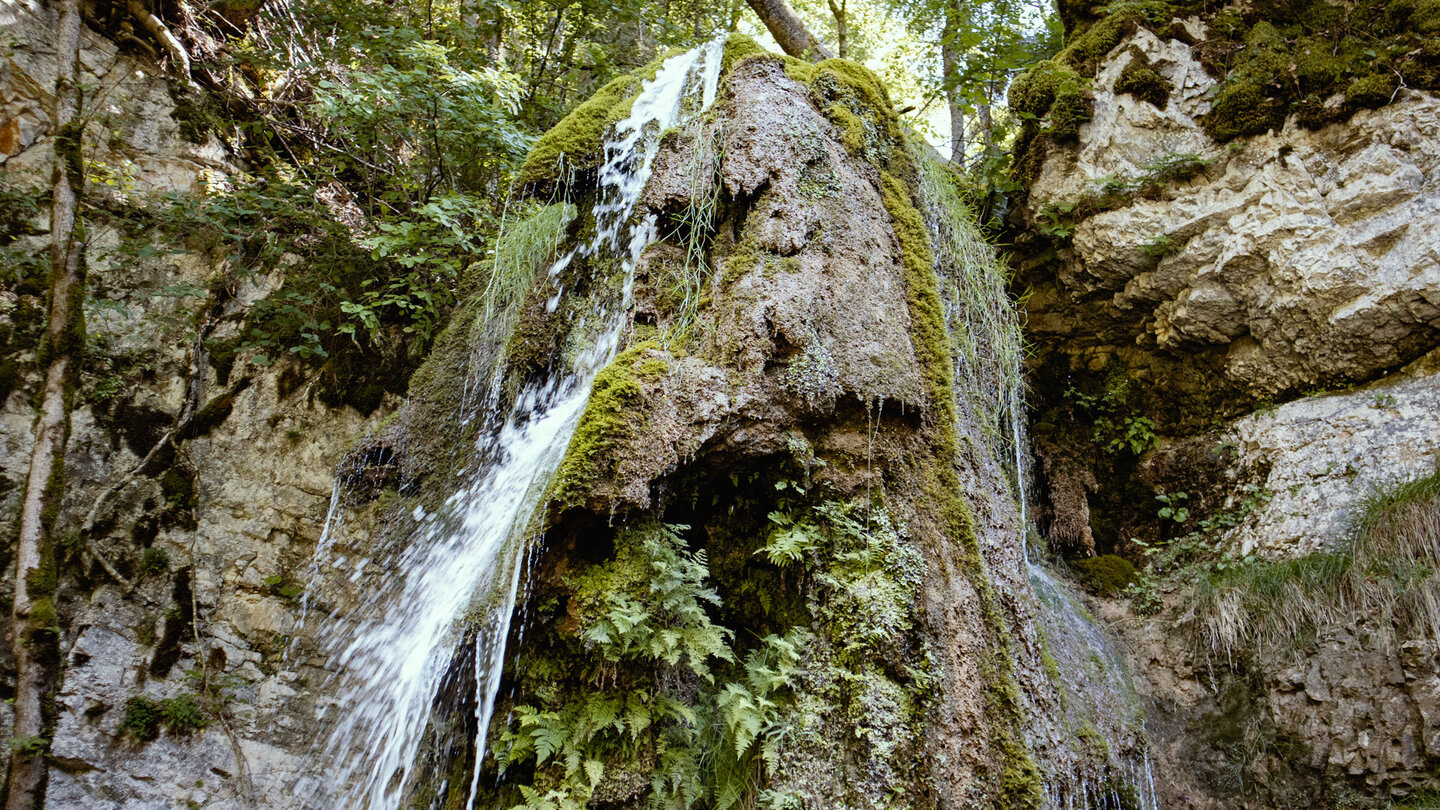 der Tannegger Wasserfall stürzt über eine zerklüftete Felsformation