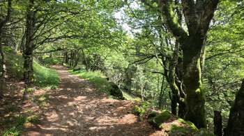 Wanderroute zu den Spitzfelsen