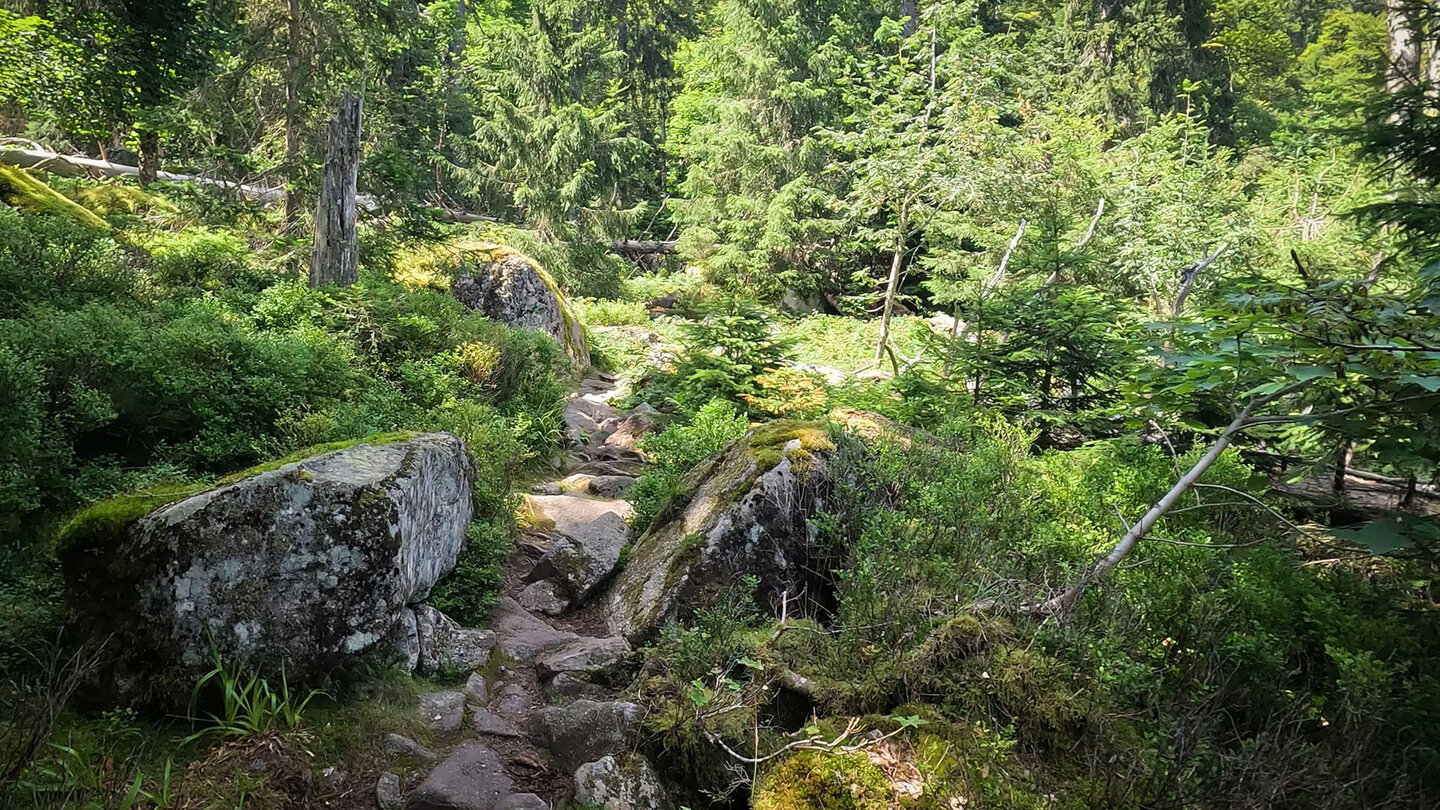 Felsenpfad zu den Hirschsteinen