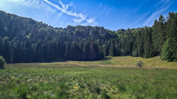 das Hochmoor von Missheimle vor der Felswand Rocher d’escalde du Missheimle