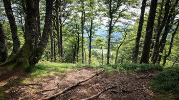 Blick auf den Lac Vert vom Höhenwanderweg