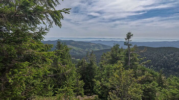 Panorama über Vogesen und Rheinebene bis zum Schwarzwald