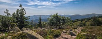 Wanderweg auf dem Le Tanet mit Blick auf den Hohneck