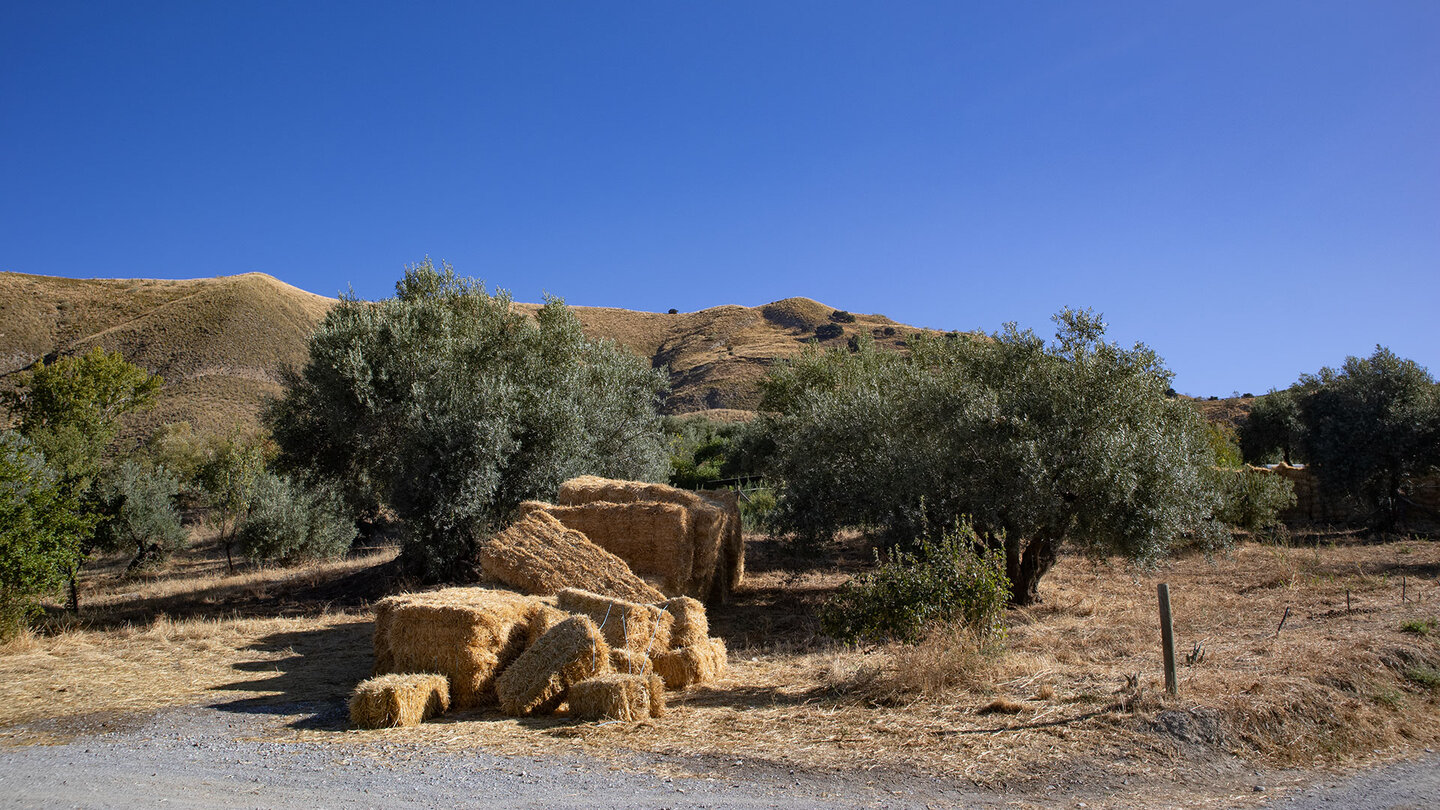 Wanderweg durch die Kulturlandschaft um Monachil