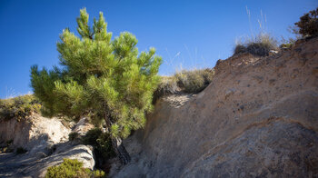 Wanderweg PR A 283 PR A 283 durch eine Erosionszone