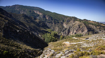 Wanderweg entlang des Barranco de las Revueltillas